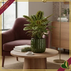 Cachepot in ceramica smaltata verde effetto bamboo, diametro 30 cm