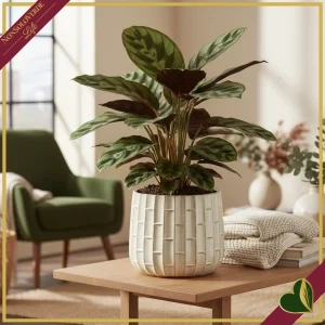 Cachepot in ceramica smaltata bianco avorio effetto bamboo, diametro 30 cm