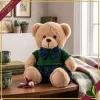 Orsacchiotto in peluche beige con completo verde e dettagli tartan blu, altezza 40 cm