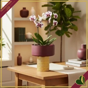 8057573039663-0 Vaso cilindro in vetro bordeaux con base dorata in rilievo, altezza 18 cm