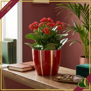 Cachepot in terracotta rosso con righe verticali color oro, diametro 17 cm