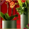 Vaso cilindro in vetro verde scuro con base dorata in rilievo, altezza 14 cm